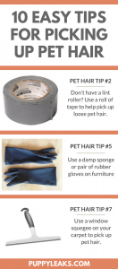 10 Simple Tips for Cleaning Up Dog Hair - Puppy Leaks