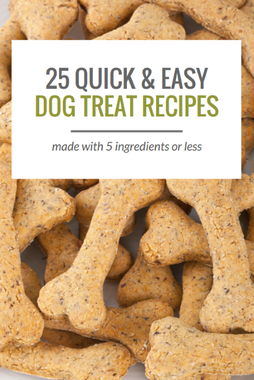25 Simple Dog Treat Recipes: Made With 