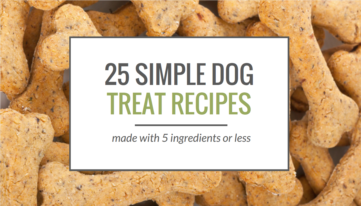 3 ingredient sweet potato dog biscuits
