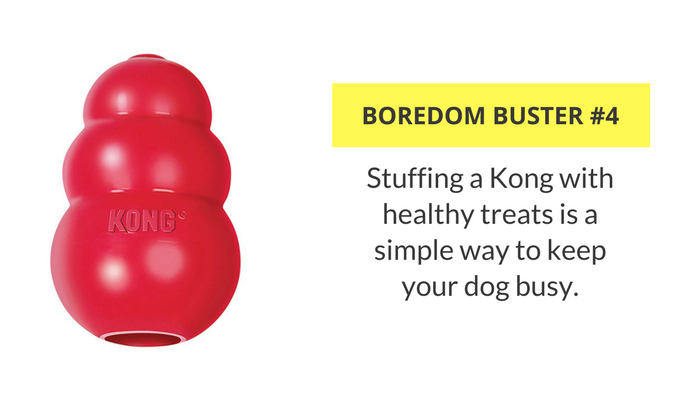  Things To Keep Dogs Busy