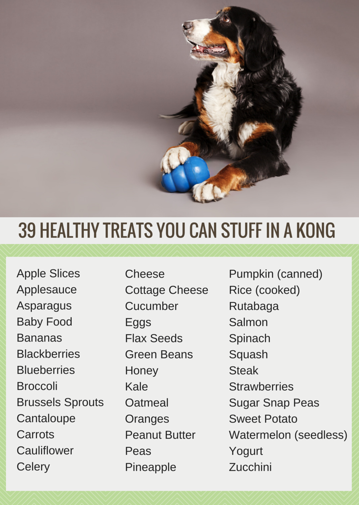 food to put in kong for puppy