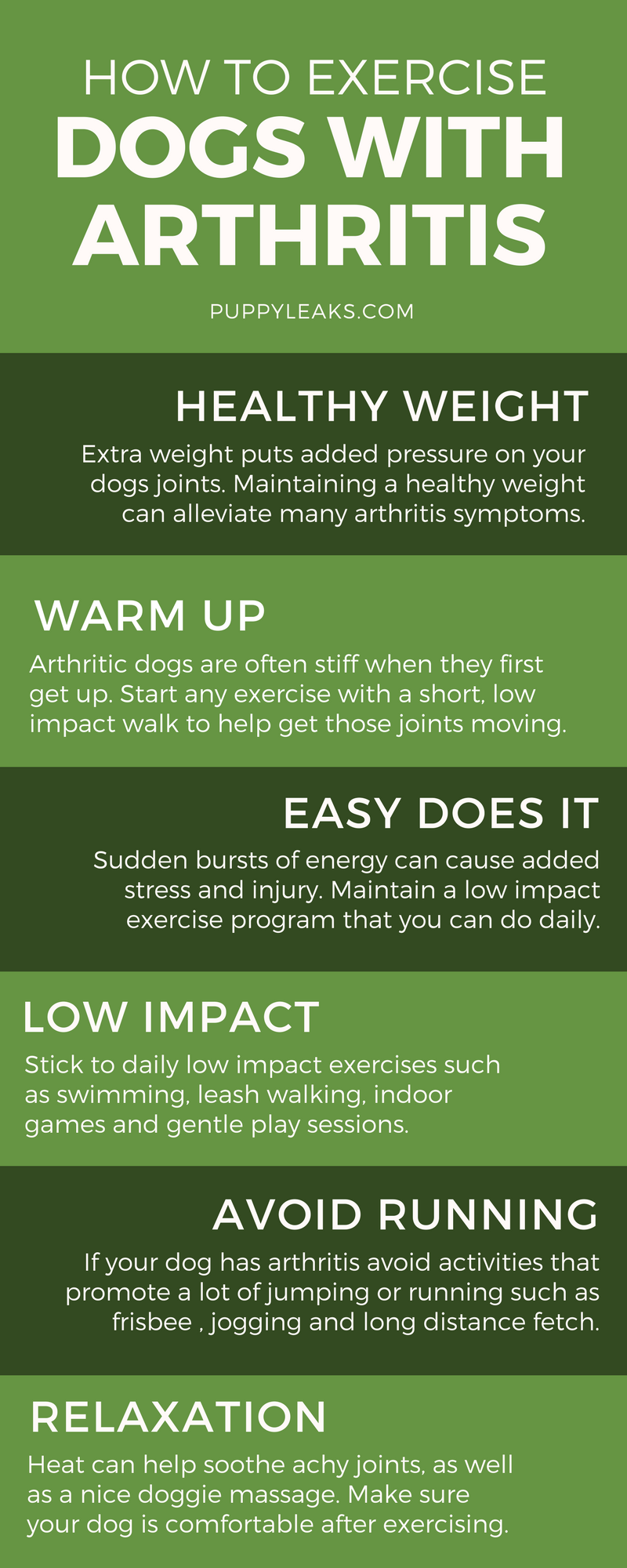 how-to-exercise-a-dog-with-arthritis-puppy-leaks