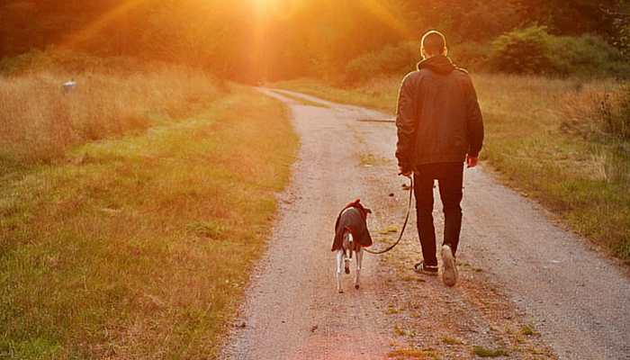should you walk dog every day