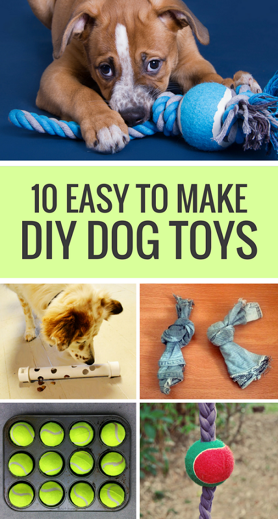homemade puzzle toys for dogs