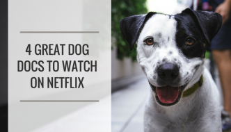 6 Great Dog Documentaries to Watch on Netflix - Puppy Leaks