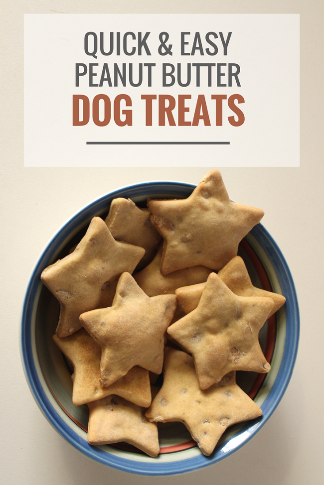 Simple Dog Treat Recipes made about 5 Ingredients ~ NONDON