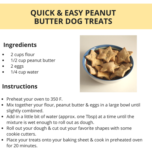 Peanut Butter Oatmeal Dog Treats Without Flour