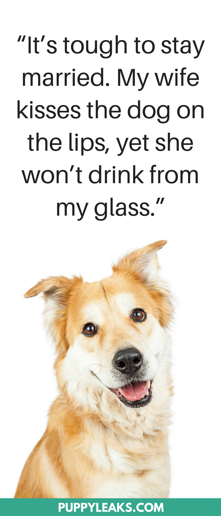 50 Cute Funny Dog Quotes Puppy Leaks