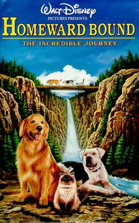 cat and dog journey movie