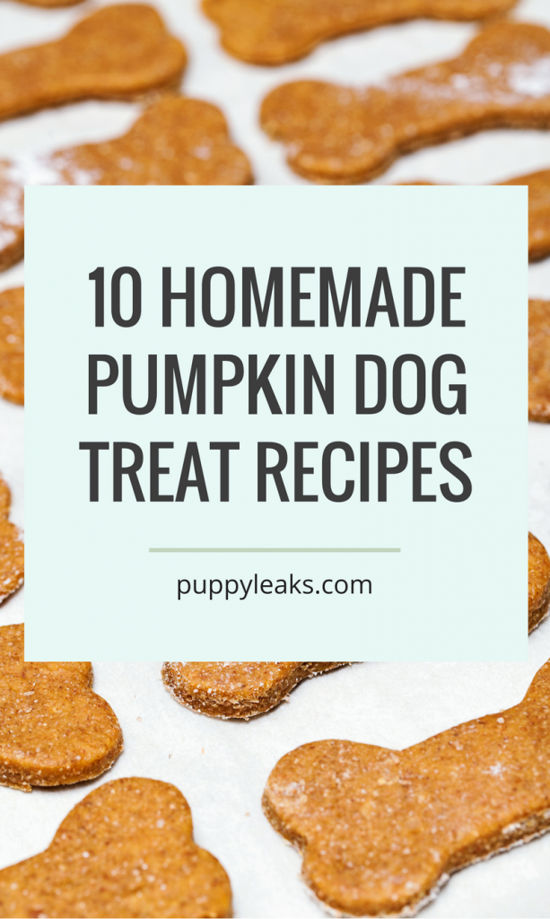 10 Homemade Dog Treat Recipes Made With Pumpkin Puppy Leaks   Pumpkintreatpin 613x1024 