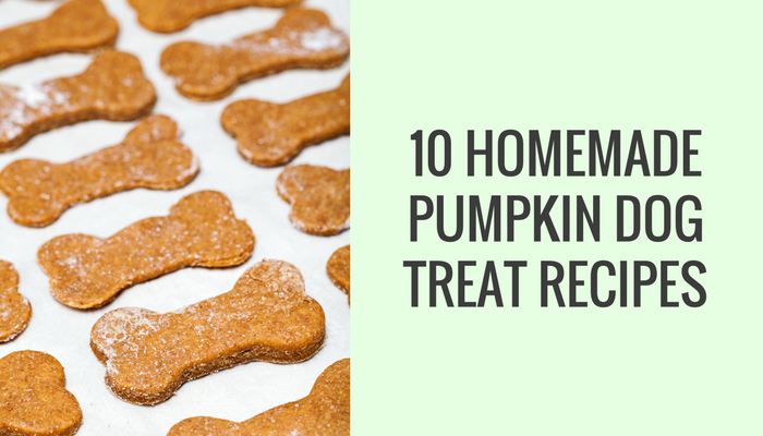 pumpkin dog treats recipe