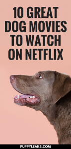 new dog movie netflix