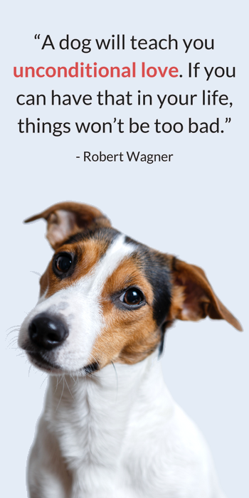 dog lover quotes