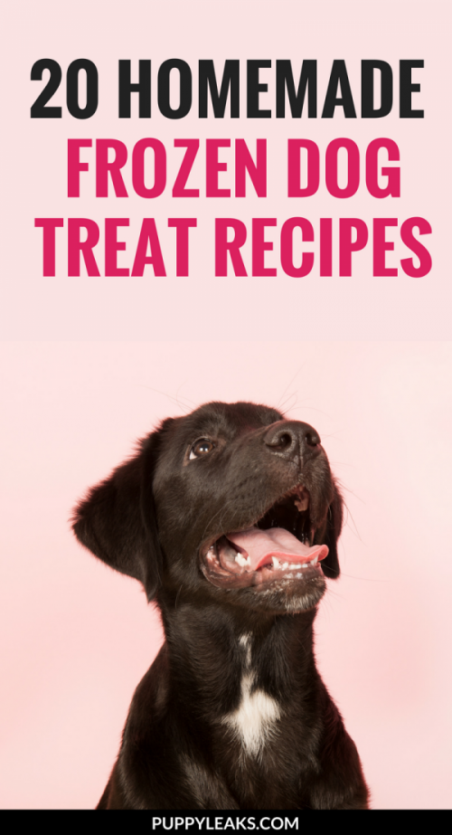 20-frozen-dog-treat-recipes-puppy-leaks
