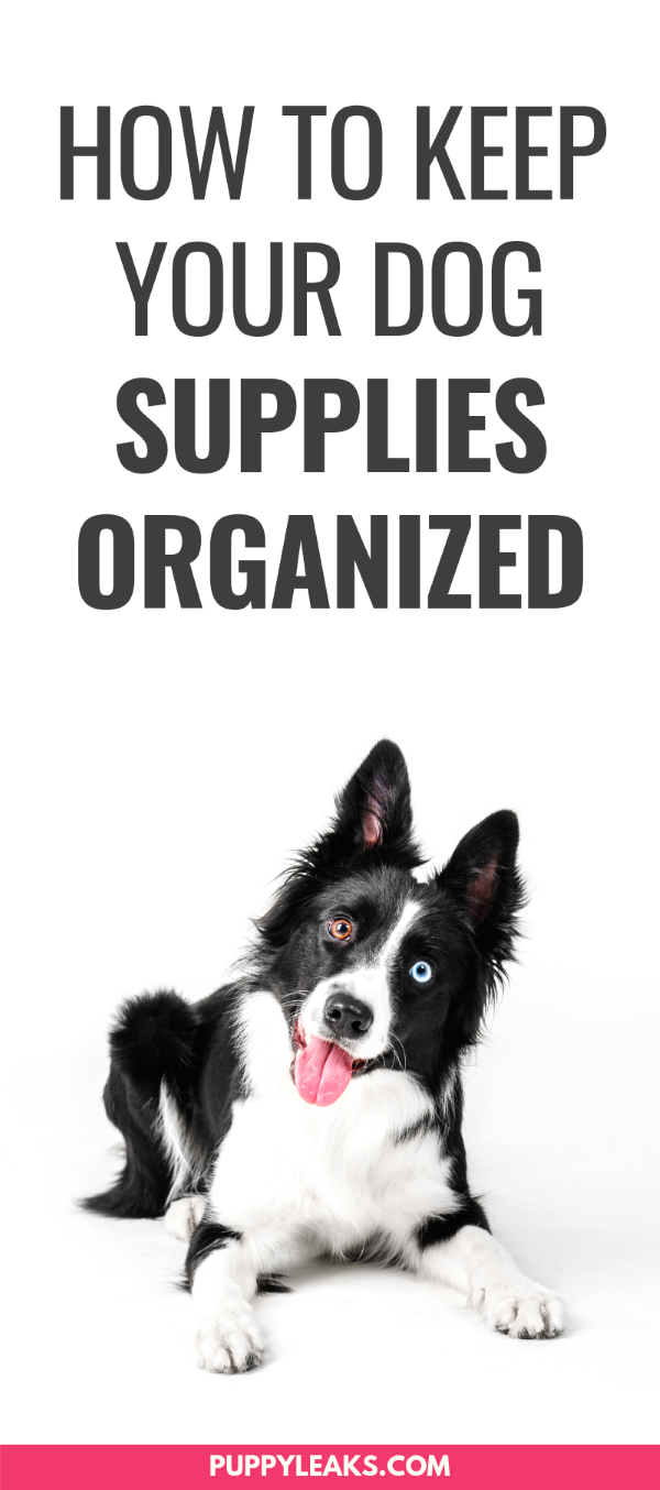 how do i organize my dogs stuff
