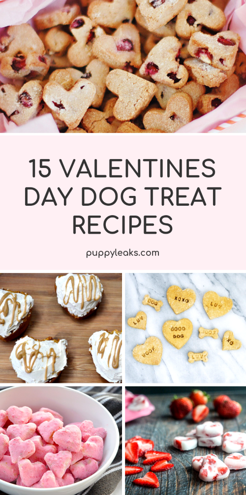15 Valentine's Day Dog Treat Recipes - Puppy Leaks