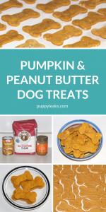 Easy Pumpkin & Peanut Butter Dog Treats - Puppy Leaks