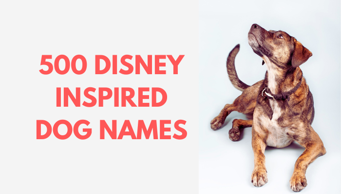 400+ Magical Disney Dog Names  Dog names disney, Dog names, Disney pet  names