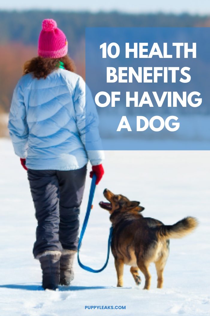 10 Health Benefits of Having a Dog