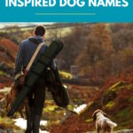500 Country Inspired Dog Names