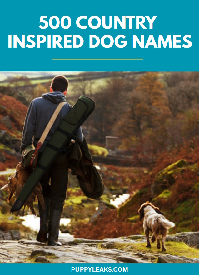 500 Country Inspired Dog Names