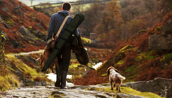 500 Country Inspired Dog Names