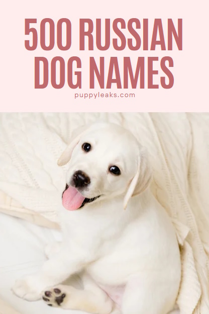 500 Russian Dog Name Ideas
