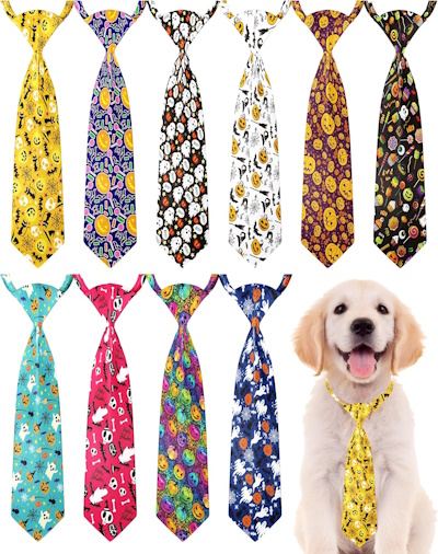 Halloween accessories for dogs