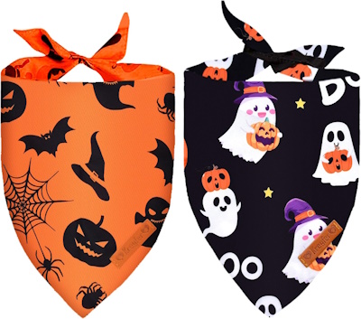 Halloween scarves accessories
